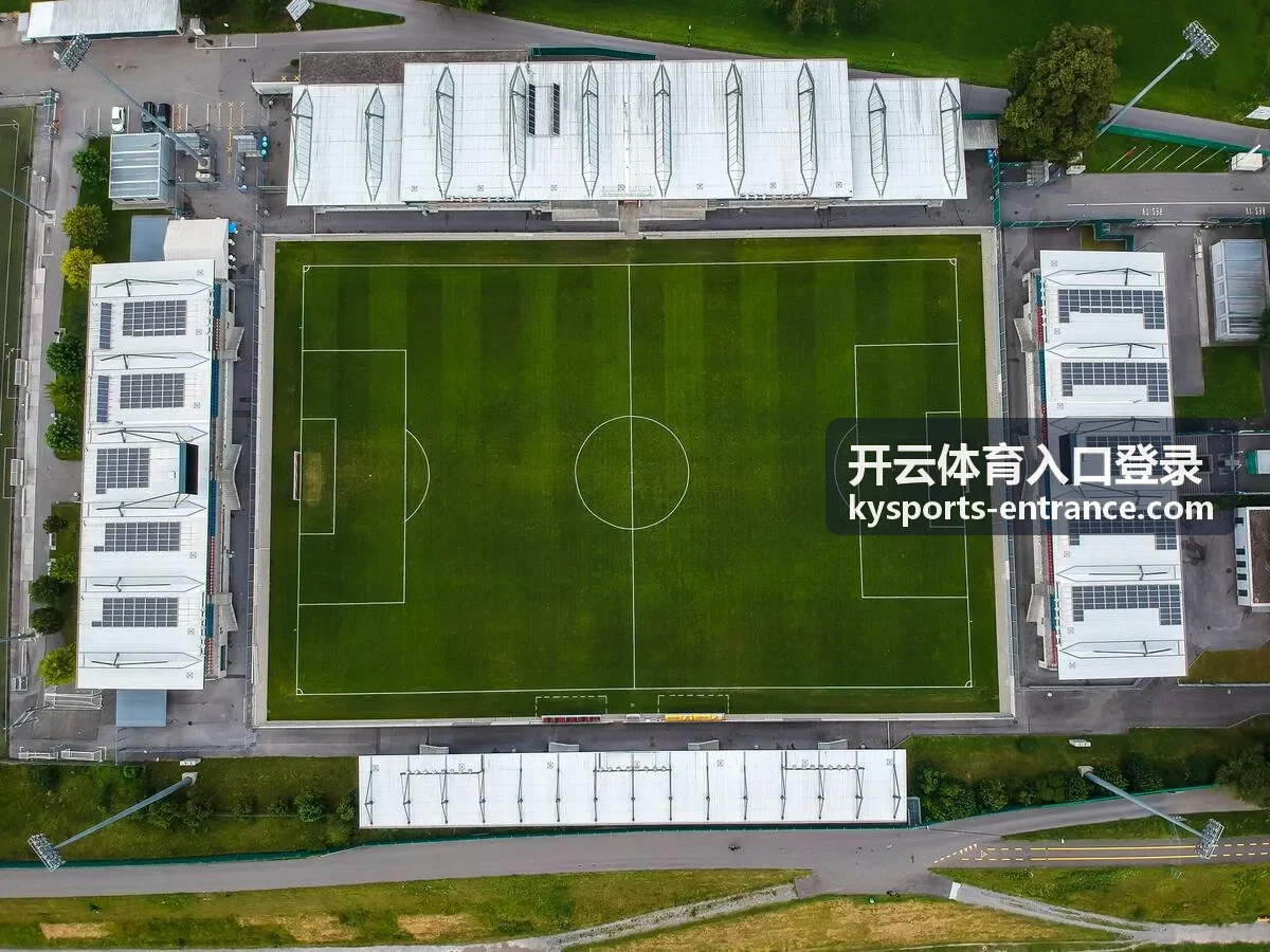 开云体育入口登录数据分析